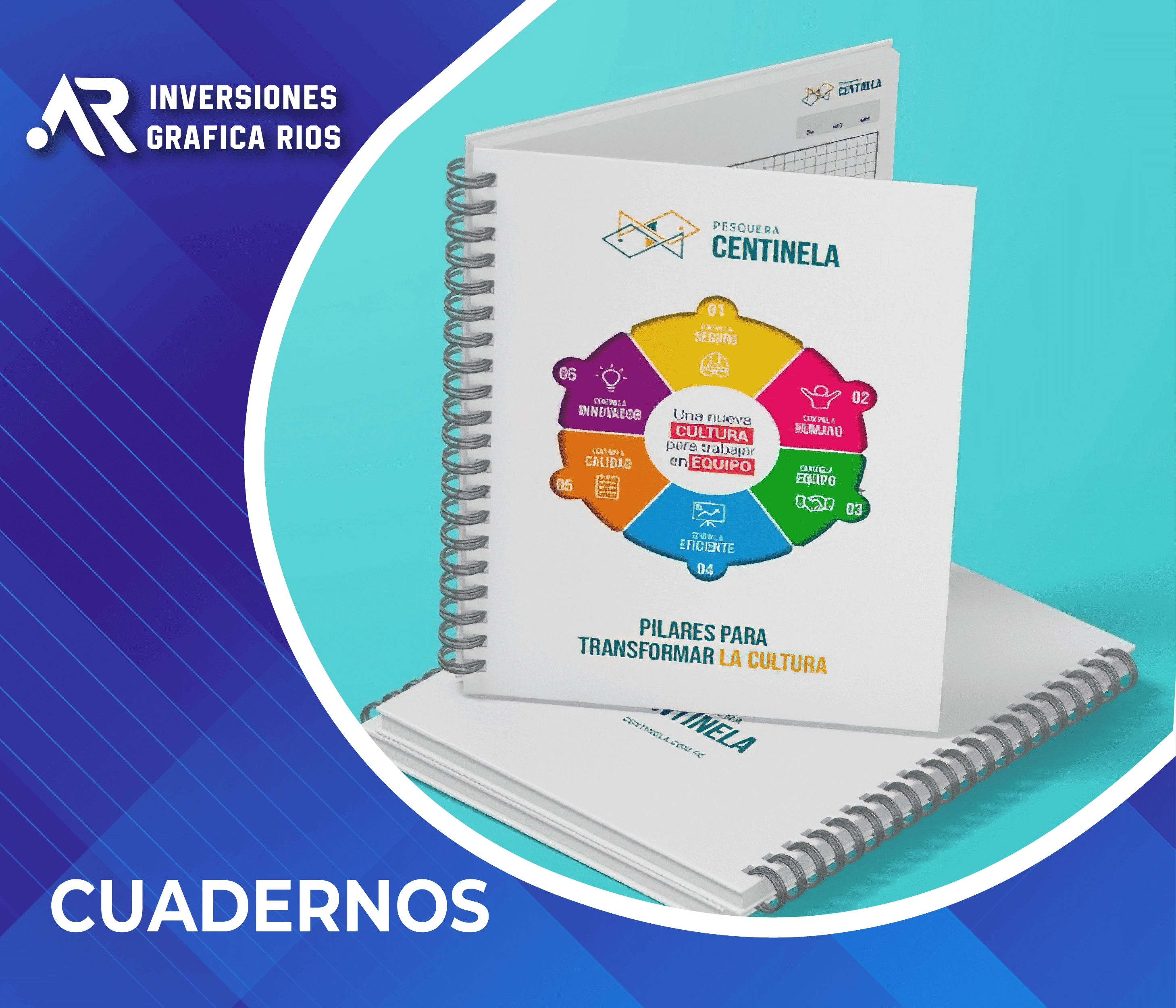 Cuadernos Profesionales